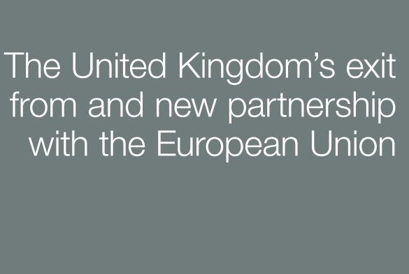 Rząd ujawnił jaki ma plan w sprawie Brexitu