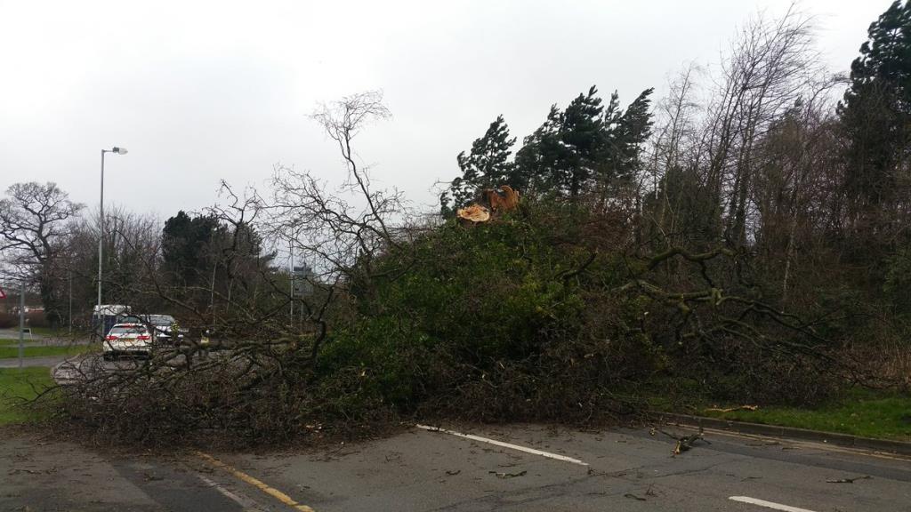 Huragan Doris w West Midlands: Jedna ofiara śmiertelna, zawieszone loty, powalone drzewa