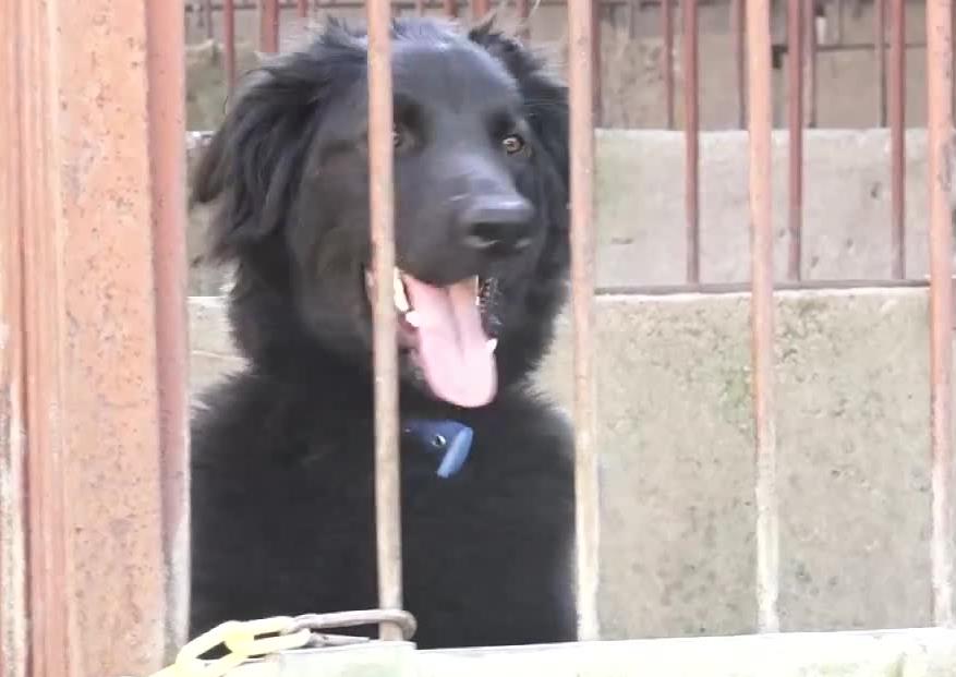 10 kandydatów na jedno miejsce. To nie rekrutacja na uczelnię, tylko nabór na wolontariuszy