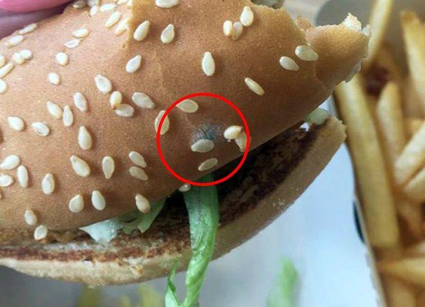 Pleśń w kanapce z McDonald’s - sieć przeprasza klientkę