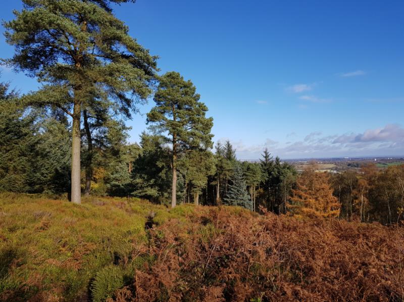 Lickey Hills Country Park