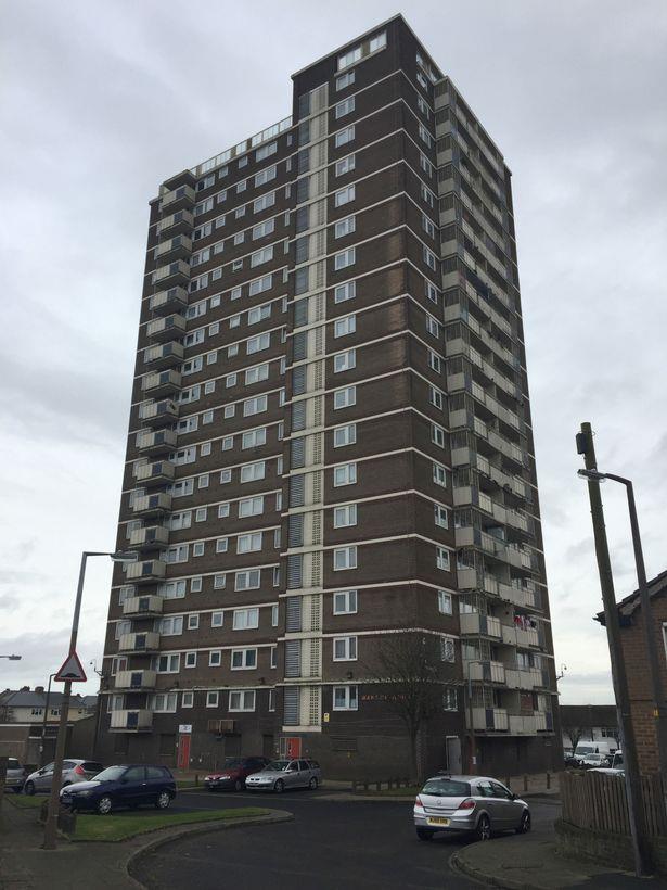 Policja zatrzymała 19-latka podejrzewanego o wyrzucenie psa z 18-stego piętra