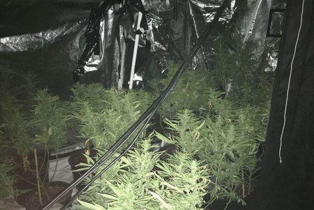 Policja wykryła plantację marihuany, bo na dachu budynku nie było śniegu