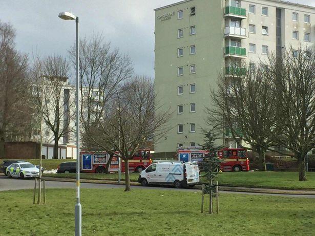 Ewakuacja mieszkańców bloku z powodu… marihuany uprawianej w jednym z lokali