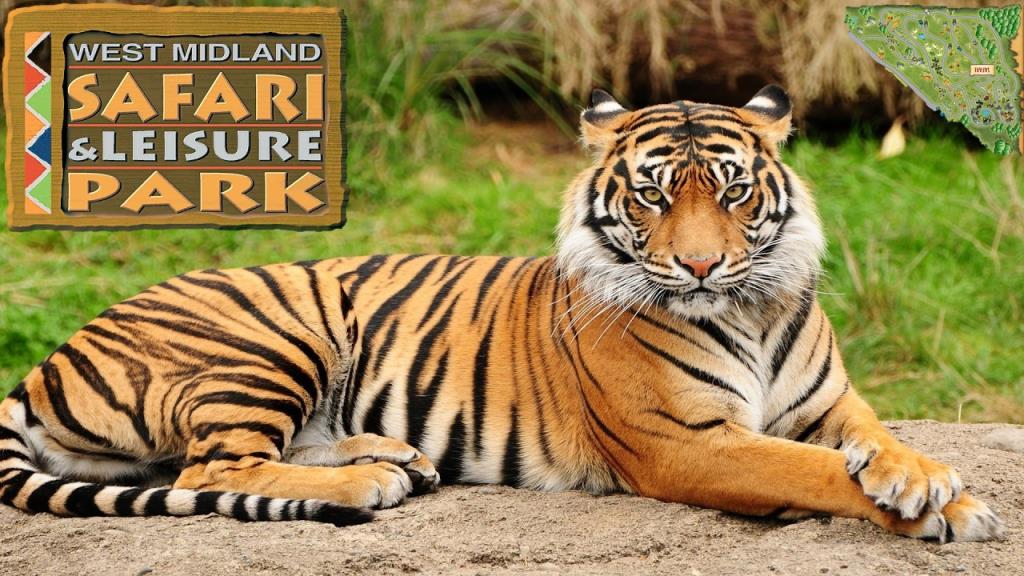 2-miesięcza dziewczynka zmarła w West Midland Safari Park