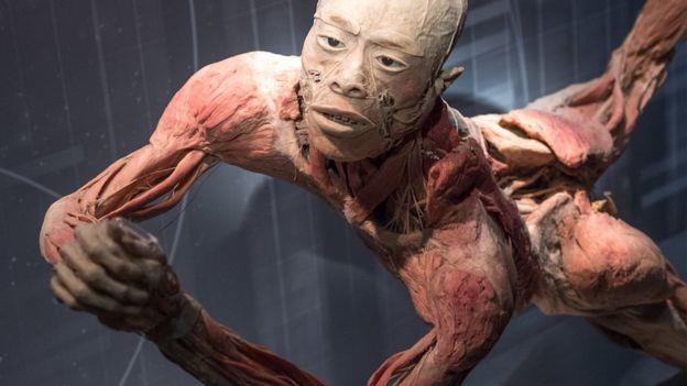 Wystawa martwych ciał w Birmingham: Lekarze wzywają do zbadania przyczyny śmierci