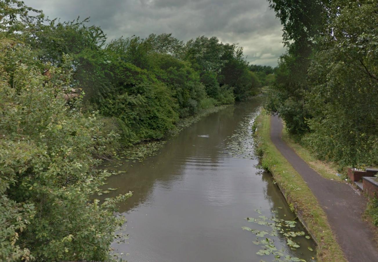 Pies uratował właścicielkę przed kradzieżą