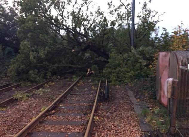 Sztorm Saint Jude - Tysiące domów bez prądu, powodzie i powalone drzewa