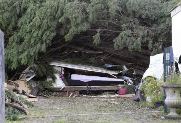 Sztorm Saint Jude - Nastolatka i mężczyzna zabici przez przewrócone drzewa