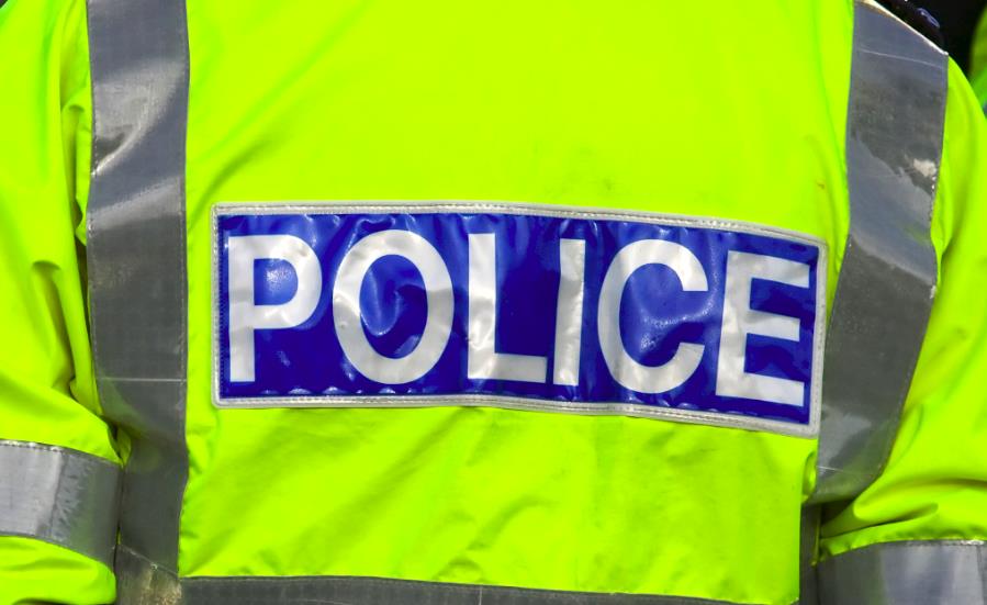 Policja znalazła 300 krzaków marihuany