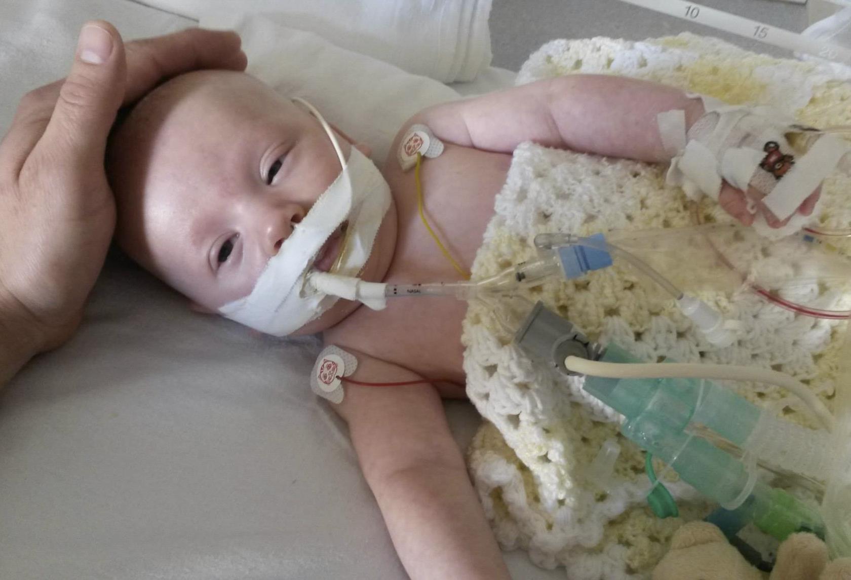 Prośba o pomoc dla Oscara z Tamworth