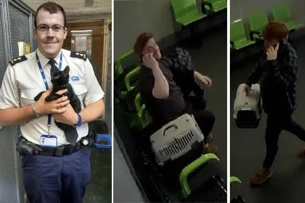 RSPCA poszukuje mężczyzny, który porzucił kota w pociągu