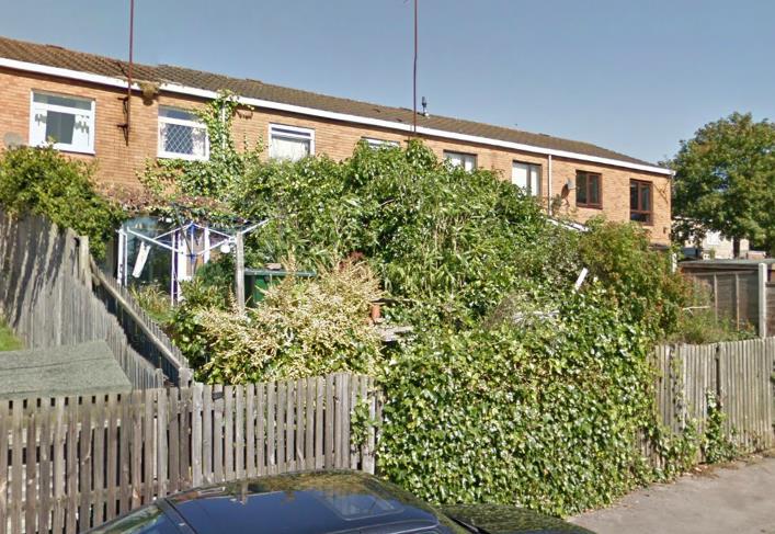 Mieszkaniec Yardley Wood nie kosił swojego trawnika od 30 lat