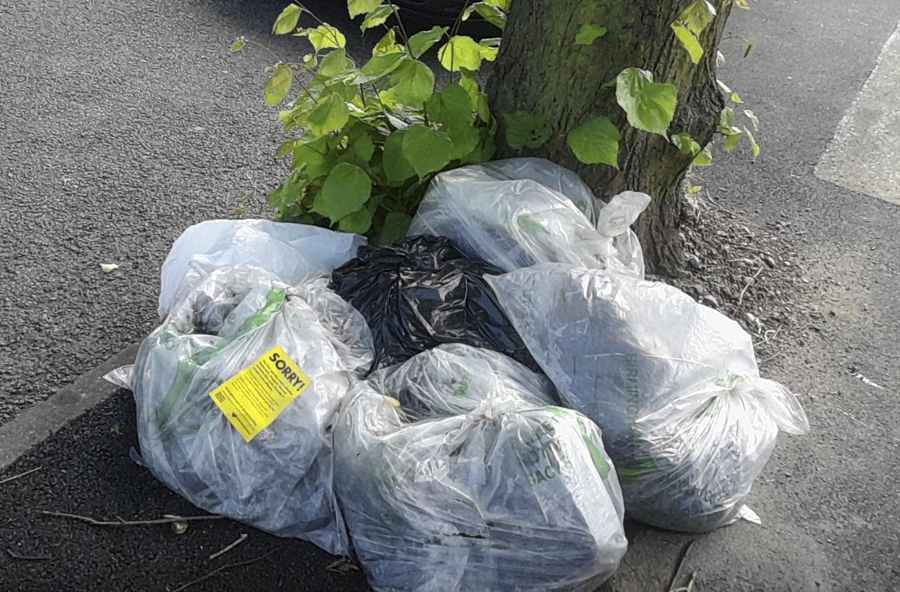 City Council  ponownie rozważy problem  odpadów zielonych