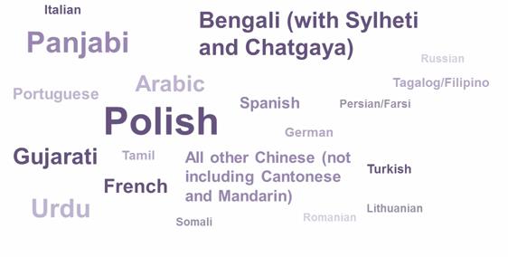 Ponad jedna czwarta Polaków w UK nie potrafi rozmawiać po angielsku