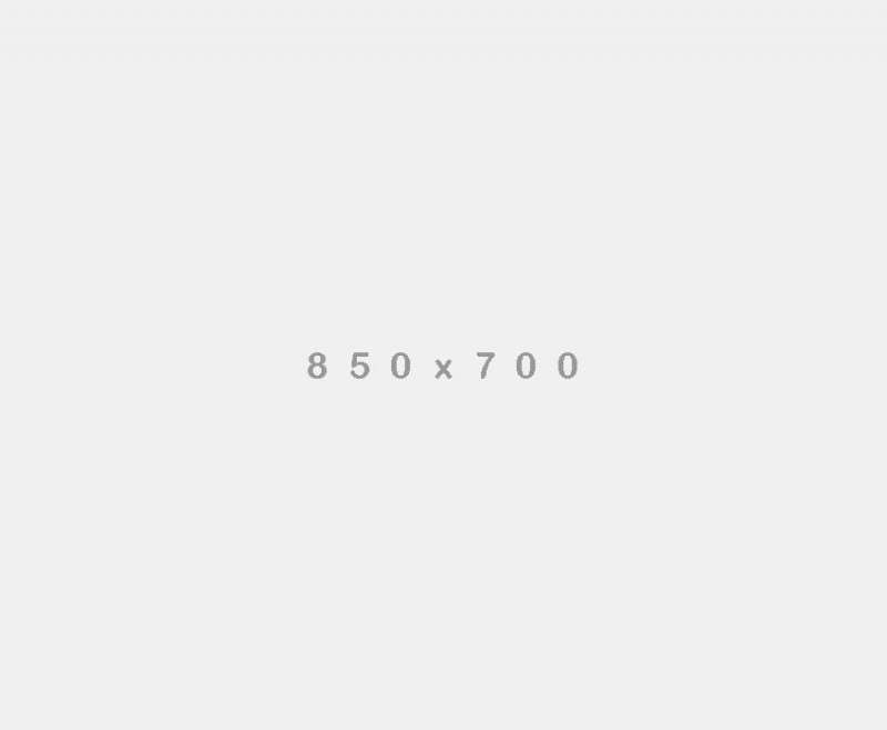 Wisdom detroit opposed